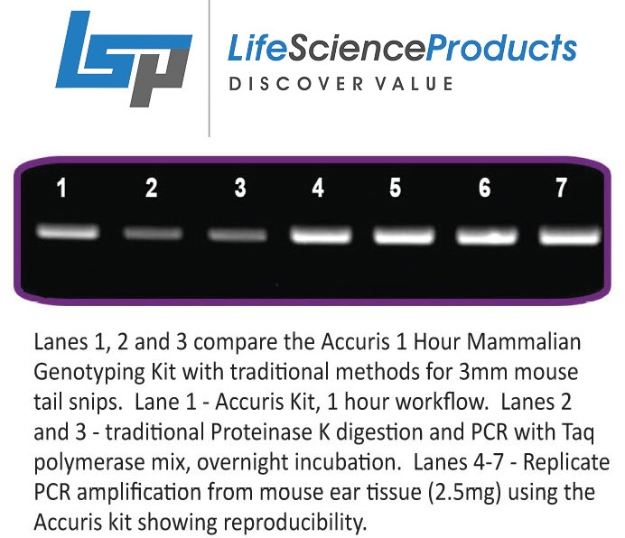 Accuris Hour Mammalian Genotyping Kit Hot Start Life Science Products