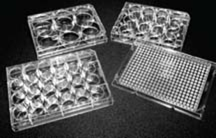 Picture of Sterile, 12-well Untreated Polystyrene, Flat-Bottom Clear Plates with Lids, Individual Pack, 100/case