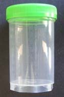 Sterile Sample Container with Snap Lid, 8 oz