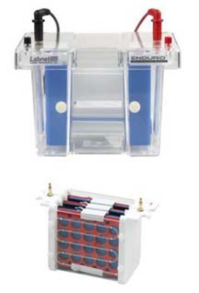 Picture of Labnet Enduro™ VE10 PAGE MIni-Gel Vertical System with Electroblotting Insert