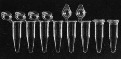 Picture for category PCR Tubes and TubeStrips with CapStrips On SALE