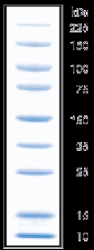 Picture of National Diagnostics - ProtoMetrics (Protein Markers)