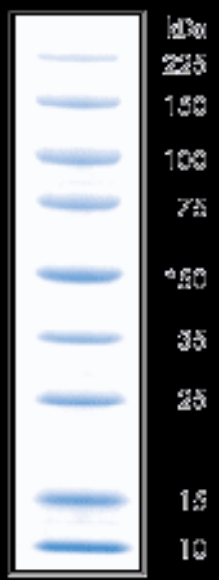 Picture of National Diagnostics - ProtoMetrics (Protein Markers)