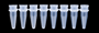 Picture of Optimum - PCR 8-TUBEstrips with Bubbled 8-CAPstrips - 250/pack