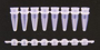 Picture of Optimum - PCR 8-TUBEstrips with Bubbled 8-CAPstrips - 250/pack