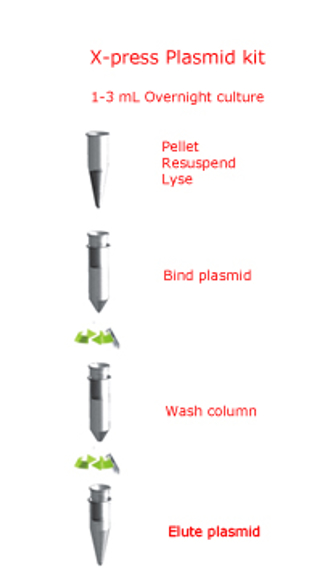 7 Minute X Press Plasmid DNA Mini Kit Life Science Products