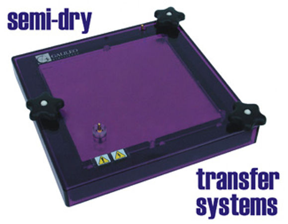 Picture of Semi-Dry Electroblotter Transfer System