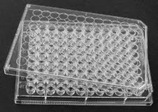 Picture of Sterile, 96-Well ELISA / EIA Treated Plates, Flat Bottom Wells, 50/case