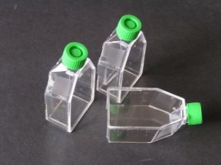 Picture of 12.5cm² Tissue Culture Flαsks with Plug Seal Cap, 200/case