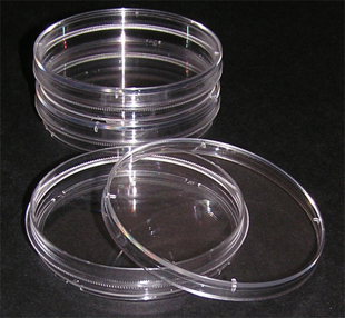 Picture of 100mm x 15mm Tissue Culture Treated Díshes with Grip Ring, Sterile 500/case