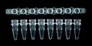 Picture of OmniSeal™ Clear PCR 0.2ml Tubés - Strips of 8 with separate Bubble CapStrips - 250/pack