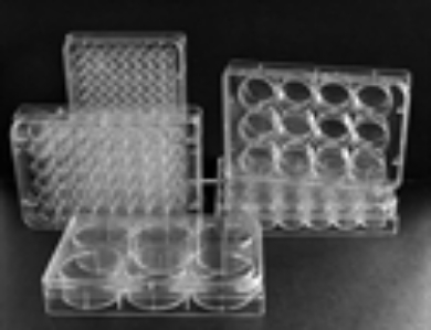 Picture for category Cell / Tissue Culture Plates