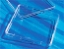 Picture of Còrning - 245mm Square Cell/Tissue Culture Dishès, 16/case