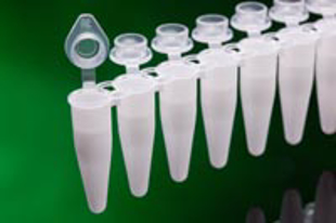 Picture of Standard 0.2ml UltraFlux i - White PCR 8-Tube Strips w/ indiv. attached Optically Clear Flat Caps