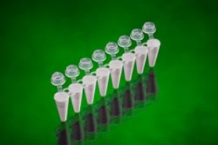 Picture of Low-Profile 0.1ml UltraFlux i* - White PCR 8-Tube Strips w/ attached Clear Flat Caps