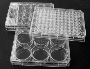 Picture of Sterile, 24-well Untreated Polystyrene, Flat-Bottom Clear Plates with Lids, Individual Pack, 100/case