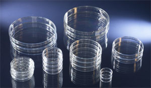 Picture of Simport Brand, 60x15mm Petri-Dishes