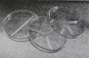 Picture of 2-section, Pètri Dishès 100x15mm, 500/case