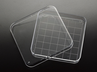 Picture of Sterile, Square Petri Dish 100x100x15mm, with grid, 500/case