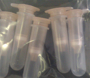 Picture of RNA Mini-Spin Columns (only) 200/pack