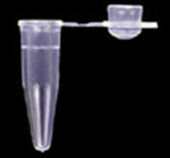 Picture of PCR Single Tubés - 0.5ml Thin Wall with Bubble Cap, 1000/pack