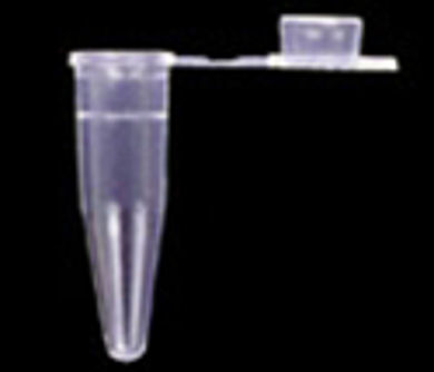 Picture for category PCR Single Tubes