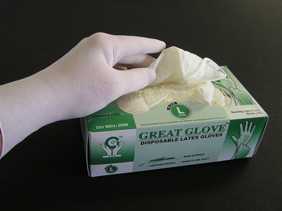 Picture of Great Glove™ Brand, Powder-Free Latex Gloves