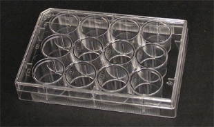 Picture of 12 Well Non-treated Plαte with Lid, Individual, Sterile 100/case