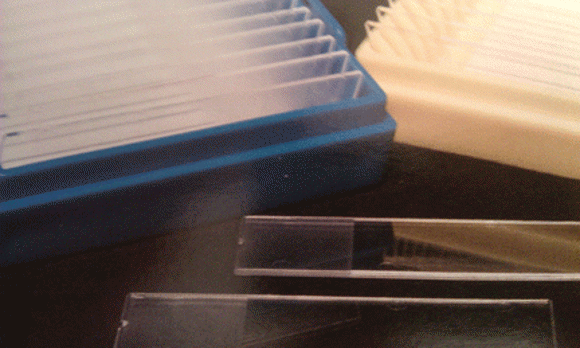 Picture of + Charged, Treated 'Plastic' Microscope Slides (Polystyrene)