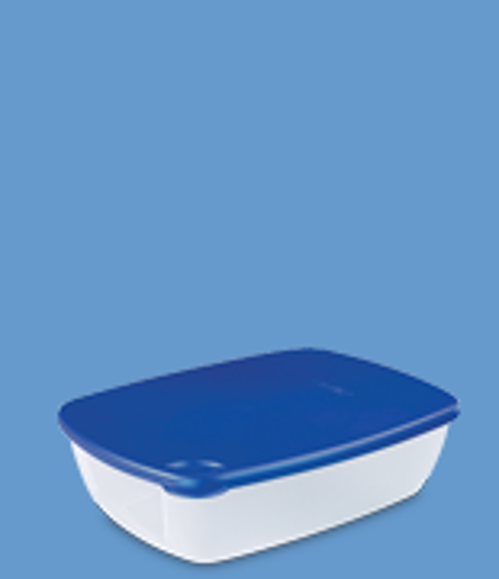 Picture of Sterilite™ Container  (2.4 L/10 Cup)