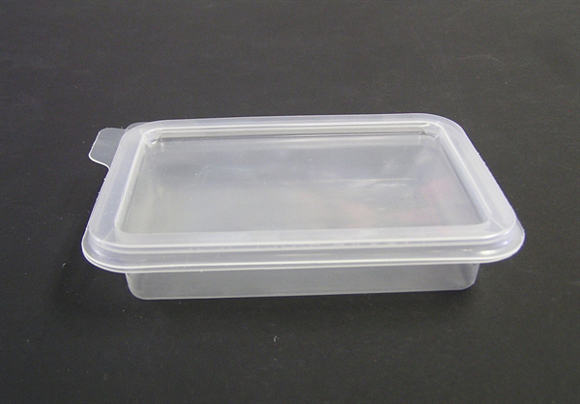 Picture of Gel Staining Trays with Lid, PP (75x113x25mm)