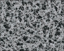 Picture of "Nitrocellulose" membranes. 13mm diam., 0.45um pore size