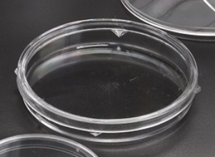 Picture of Sterile 50x9mm, with Tight-Fitting Lid, 500/case