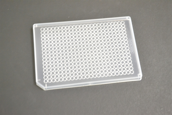 Picture of Clear Polystyrene  Lids for 384-well LifeLINE Brand MicroPlatès