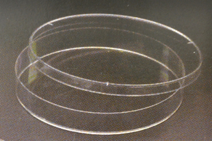 Picture of 150mm x 20mm Tissue Culture Treated Díshes, Sterile (5/sleeve) 100/case