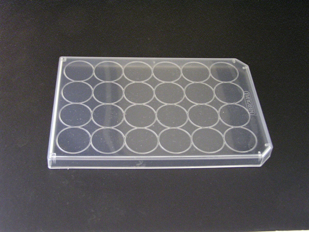 Picture of Non-Sterile Lids for 24-well plates (Polypropylene), 105/case