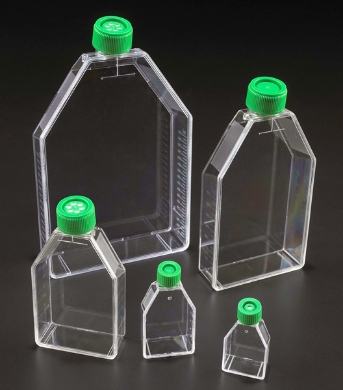 Picture for category Cultureware, Flasks