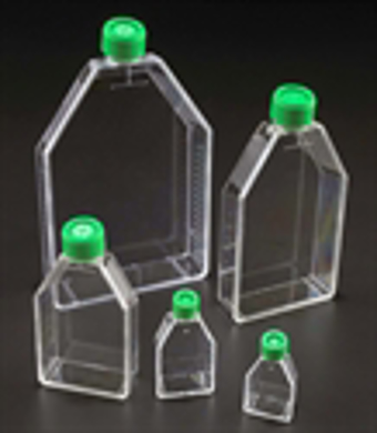 Picture for category Tissue Culture Flasks