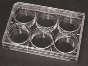 Picture of 6 Well Non-treated Plαte with Lid, Individual, Sterile 100/case