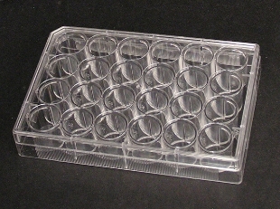 Picture of 24 Well Non-treated Plαte with Lid, Individual, Sterile 100/case