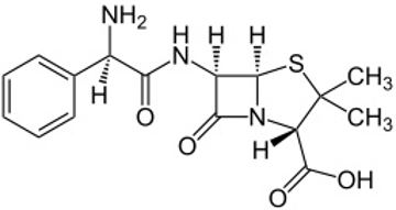 Picture of Ampicillin, Na Salt (1 kg)