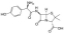 Picture of Amoxicillin, trihydrate - 10 gram