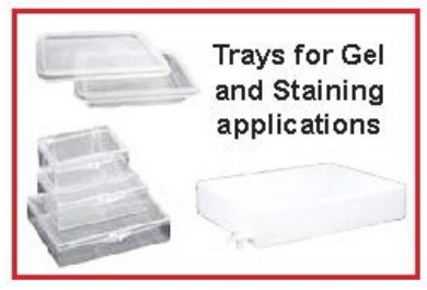 Picture for category Stain/Blot Containers