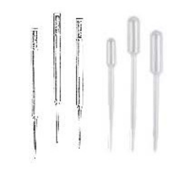 Picture for category Transfer (aka Pasteur) Pipets, Disposable