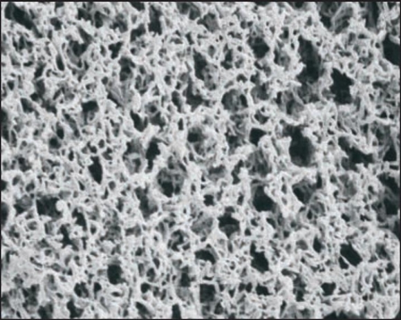 Picture of Nylon Membrane - 25mm diameter Circular Disks