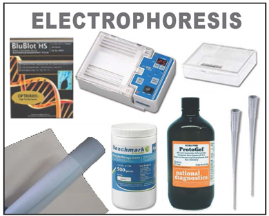 Picture for category Electrophoresis Products