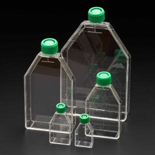 Picture of 182cm² Tissue Culture Flαsks with Vent Filter Cap, 8x5/case, 40/case