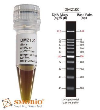 Picture of SMOBIO (TrueBio) ExcelBand™ - 100bp DNA Ladder, Ready-to-use, 100 loadings (DM2100)