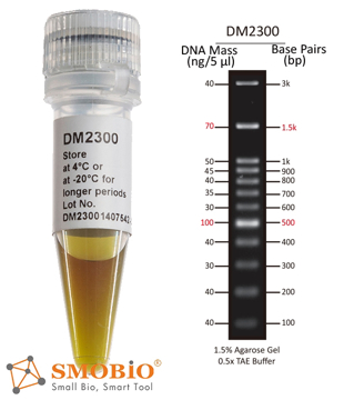 Picture of SMOBIO ExcelBand™ - 100bp + 3K DNA Ladder, Ready-to-use, 100 loadings (DM2300)