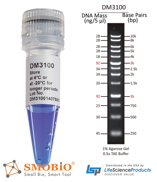 Picture of SMOBIO (TrueBio) ExcelBand™ - 1 Kb (0.25-10 kb) DNA Ladder, Ready-to-use, 100 loadings (DM3100)